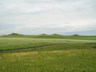 Вербка з panoramio.com