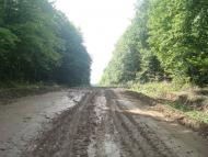 Пархомівці з panoramio.com