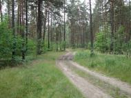 Скиток з panoramio.com