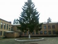 Устимівка з panoramio.com