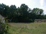 Виповзів з panoramio.com