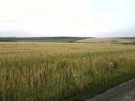 Базалія з panoramio.com