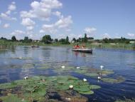 Перемиль з panoramio.com