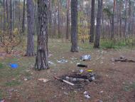 Княжичі з panoramio.com