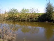 Семенівка з panoramio.com