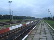 Веснянка з panoramio.com