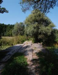 Суха Гомільша з panoramio.com