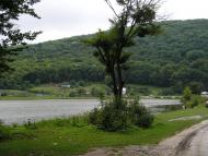 Вербка з panoramio.com