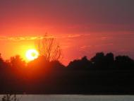 Ліски з panoramio.com