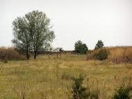 Пасицели з panoramio.com