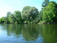 Чаплищі з panoramio.com