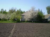 Горобіївка з panoramio.com