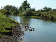 Семенівка з panoramio.com