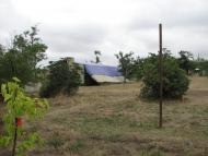 Протопопівка з panoramio.com
