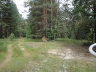 Скиток з panoramio.com