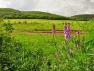 Перевалівка з panoramio.com