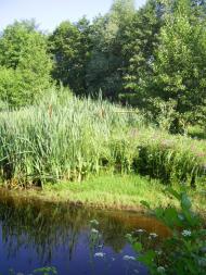 Білоцерківка з panoramio.com