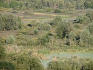 Яшники з panoramio.com