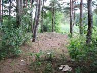 Стригани з panoramio.com