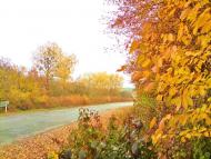 Куряни з panoramio.com