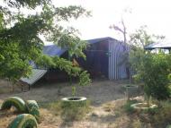 Протопопівка з panoramio.com