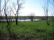 Переможне з panoramio.com