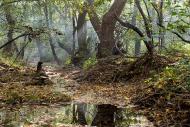 Кам'янка з panoramio.com