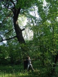 Рубіжне з panoramio.com - Рубіжне