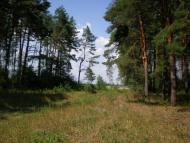 Чаплищі з panoramio.com