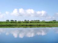 Велетенске з panoramio.com