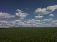 Люблинець з panoramio.com