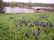 Новоданилівка - Останні фото