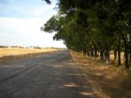 Приморське з panoramio.com