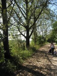 Радванці з panoramio.com