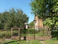 Семенівка з panoramio.com