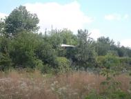 Панкратове з panoramio.com