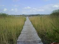 Виповзів з panoramio.com