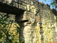 Новоамвросіївське з panoramio.com