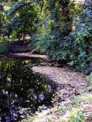 Шевченкове з panoramio.com