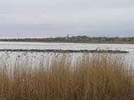 Першотравневе з panoramio.com