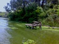 Новопетрівка з panoramio.com