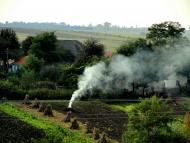 Грушка - Останні фото