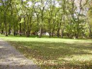 Шевченкове з panoramio.com