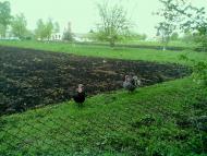 Малий Правутин з panoramio.com