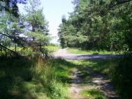 Бірки з panoramio.com