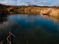 Новошини з panoramio.com