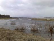 Підлозці з panoramio.com