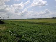 Широка Балка з panoramio.com