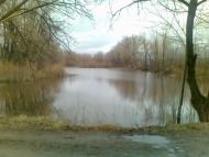 Короваї з panoramio.com