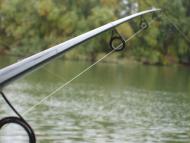 Ліски з panoramio.com